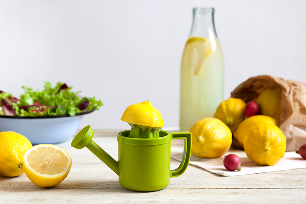 Соковыжималка для лимонов lemoniere
