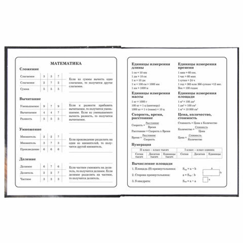 Дневник 1-4 класс 48 л., твердый, BRAUBERG, блестки, с подсказом, "Котик", 106364