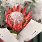 Протея и эвкалипт в стильном оформлении