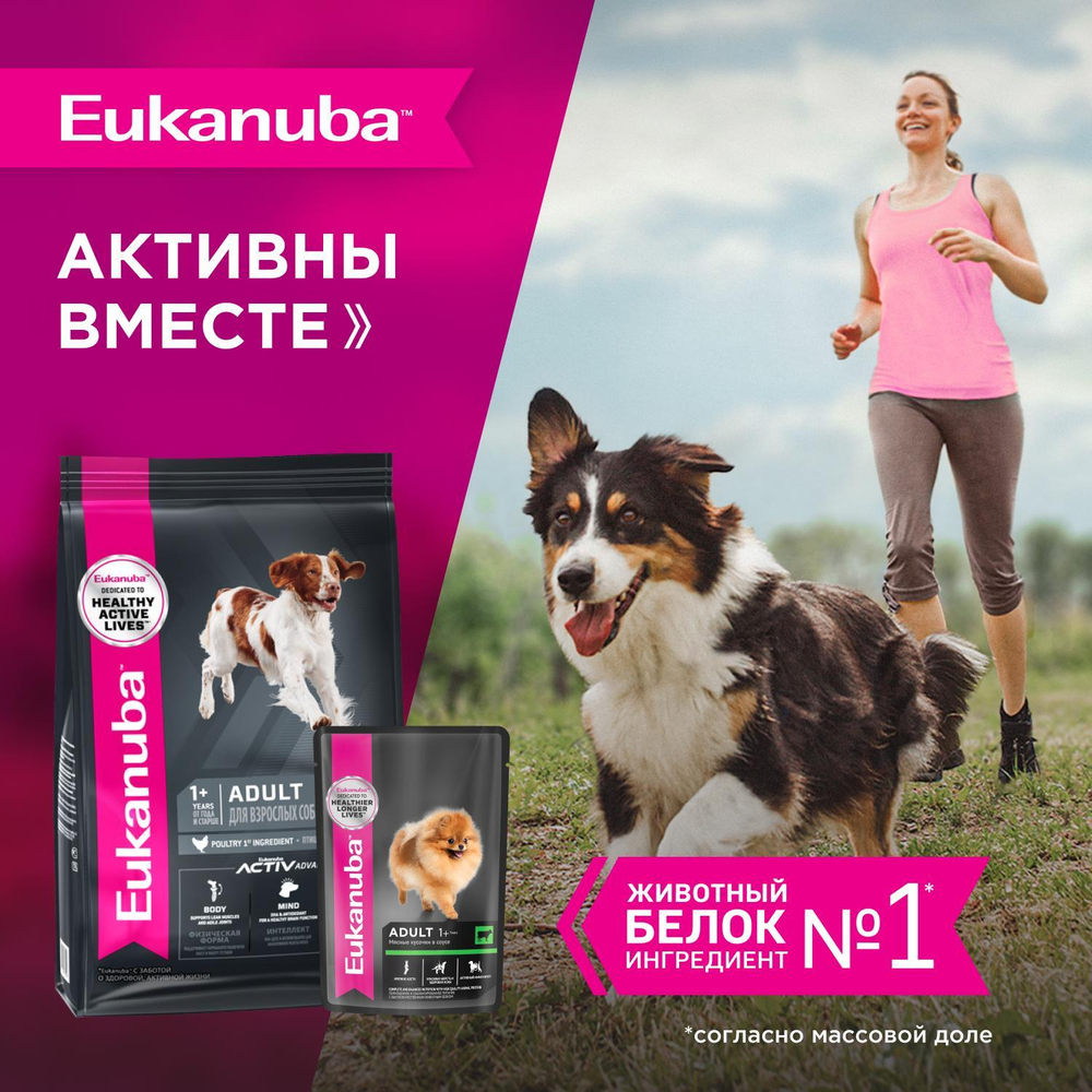 Eukanuba паучи для взрослых собак с говядиной 100 г