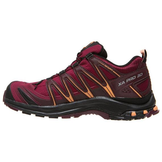 SALOMON XA Pro 3D V9 gore tex