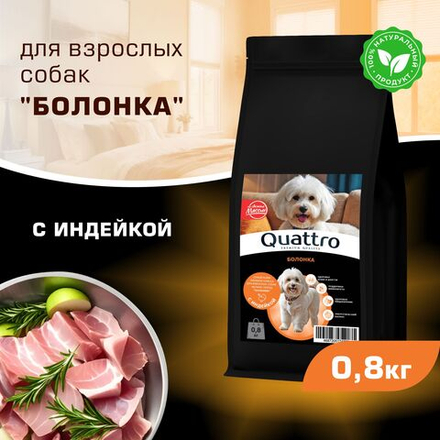 Корм сухой для взрослых собак породы Болонка, с индейкой, 800 гр, QUATTRO