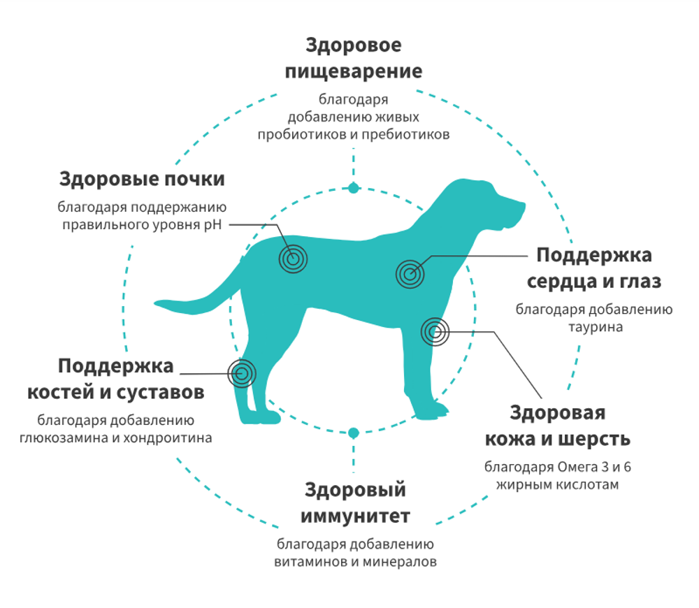 GRANDORF FRESH Свежее филе лосося с бататом для собак крупных пород