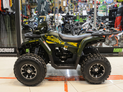 SHARK PRO 150 CC