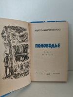 Половодье (комплект из 2-х книг)