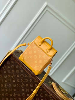 Louis Vuitton Nano Steamer