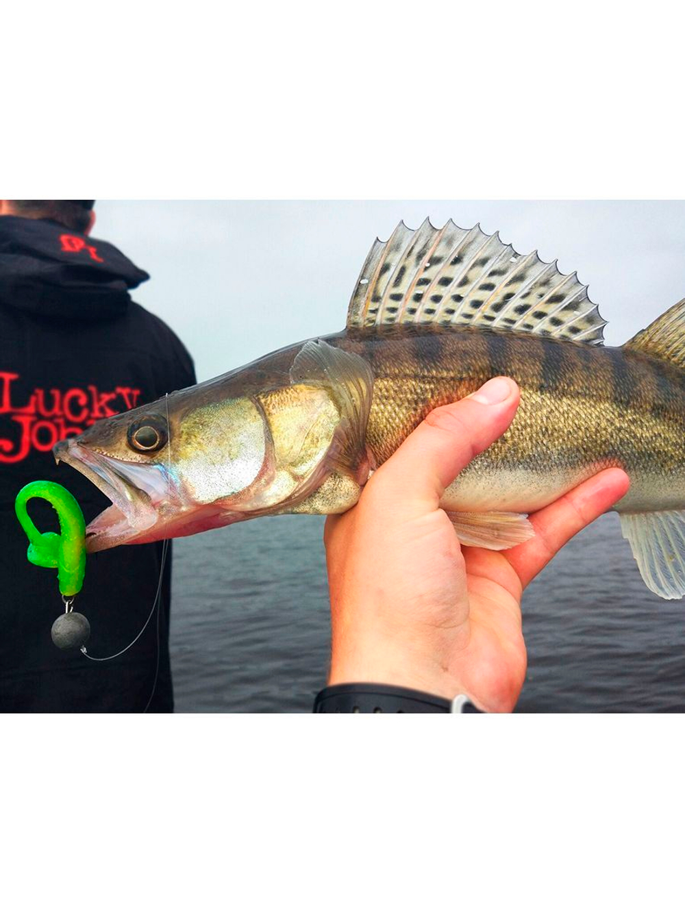 Виброхвосты съедобные LJ Pro Series MINNOW 3.3in (08.40)/T27 7 шт. в упак.