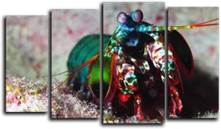 Модульная картина "Морской обитатель"