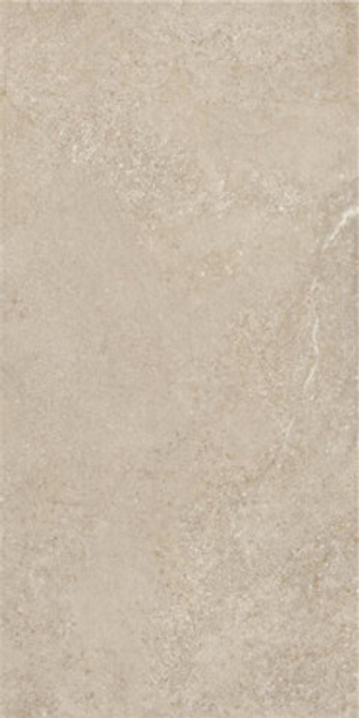 Керамогранит Arenite Natural Matt. (N30102)