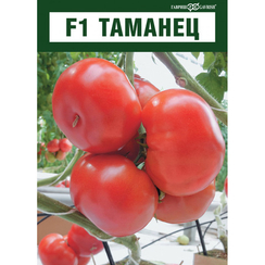 Таманец F1 семена томата индетерминантного (Гавриш)