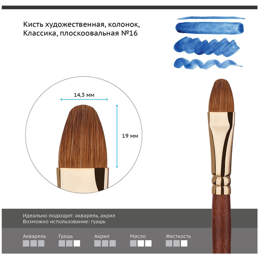 Кисть художественная колонок Гамма "Классика", плоскоовальная №16