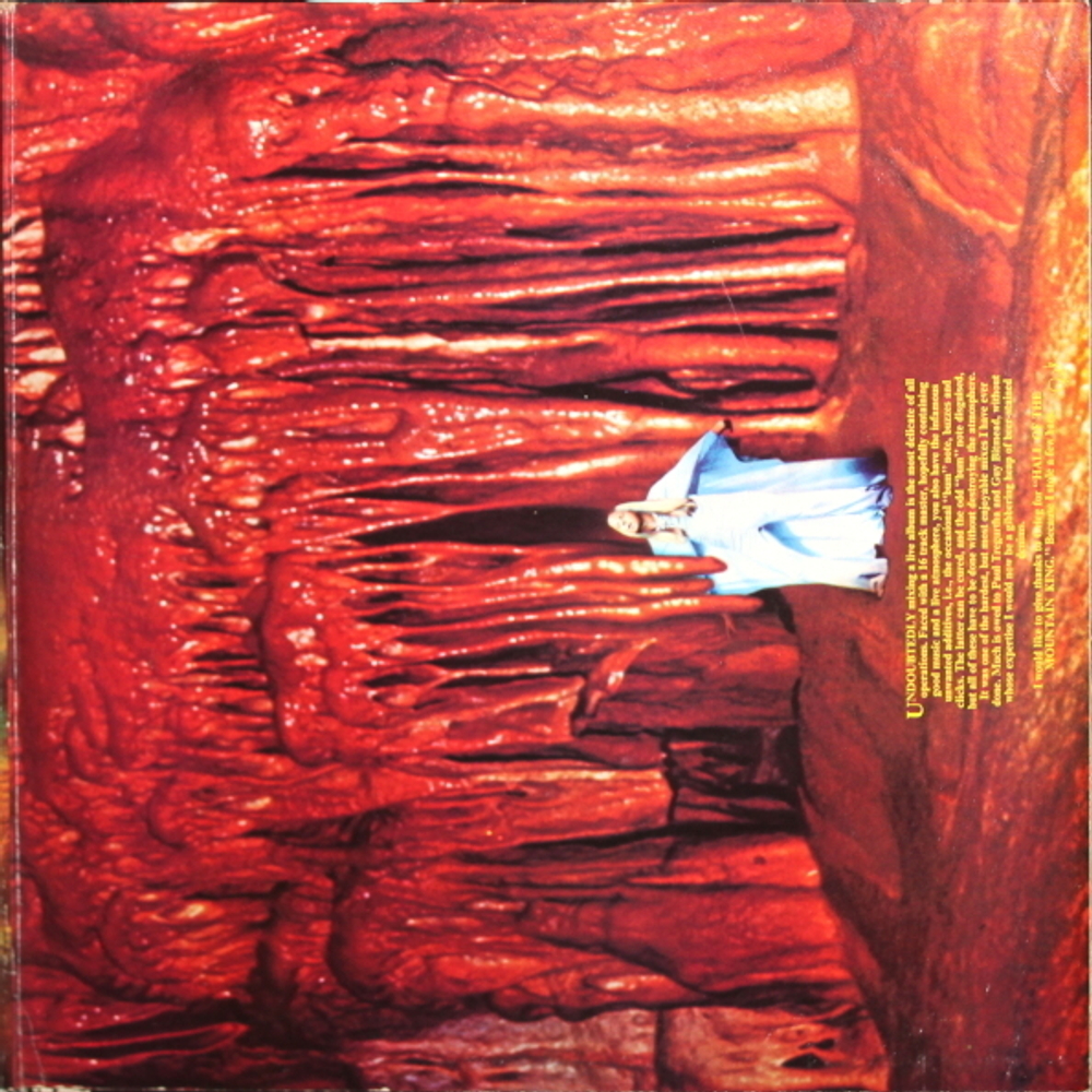 Rick Wakeman / Journey To The Centre Of The Earth (LP)