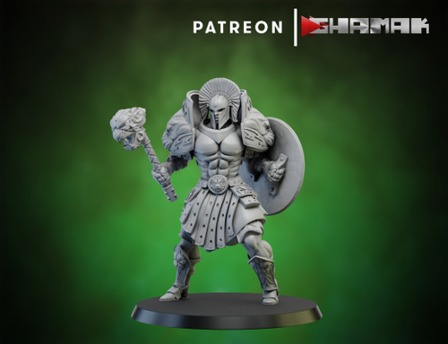 Grand Alliance Order Stormcast Eternal Sequitors Воитель с молотом и щитом №2 миниатюра для dnd, днд, pathfinder, фентези, Настольная игра, НРИ, Варгейм, РПГ