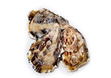 Французские устрицы Люмьер, шт Французские устрицы Люмьер, шт