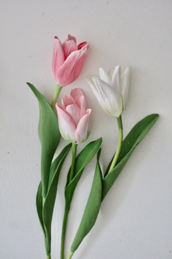 Вайнер силиконовый лист Ландыша ClayCraft by DECO™