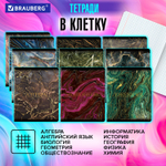 Тетради предметные комплект 12 ПРЕДМЕТОВ 48 л. SoftTouch фольга BRAUBERG "MARBLE" (2 штуки в упаковке)