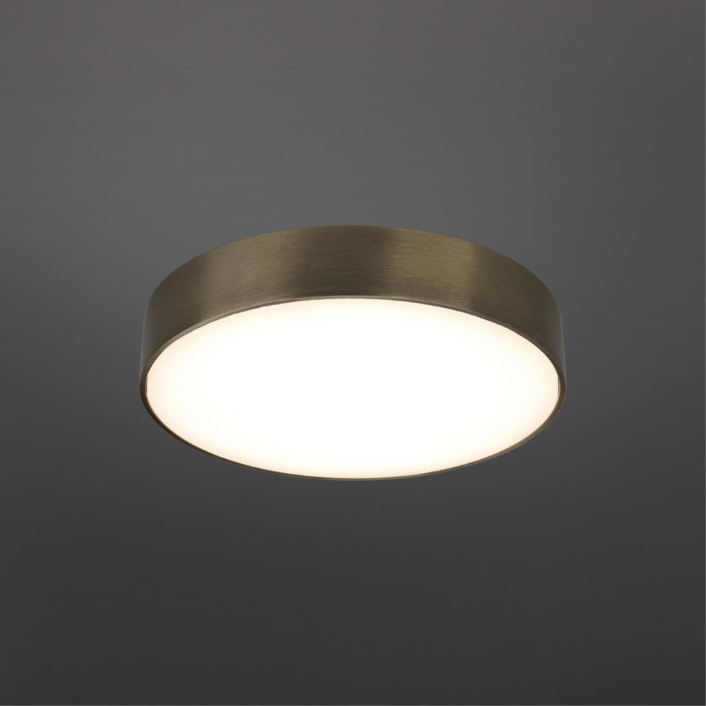 Потолочный светодиодный светильник Aployt Evon APL.0114.29.24