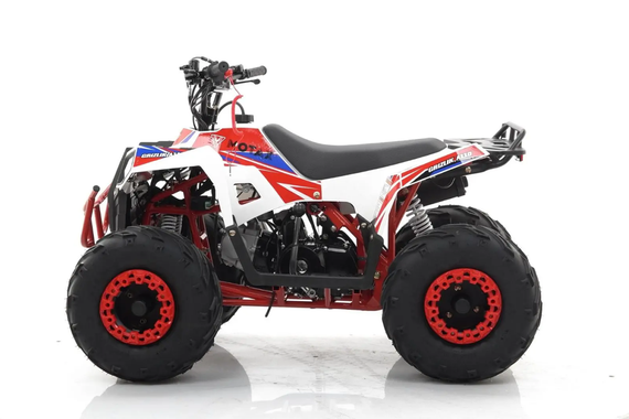 Квадроцикл MOTAX Grizlik A110