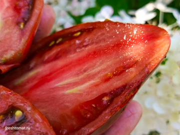 Сердце Марши (Marsha's Starfighter Heart) сорт томата