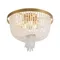 Потолочный светильник Орнамент / Ornament Freya fr1008cl-04bs