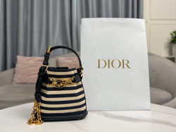 Christian Dior Small C'est Dior Bag 17 cm