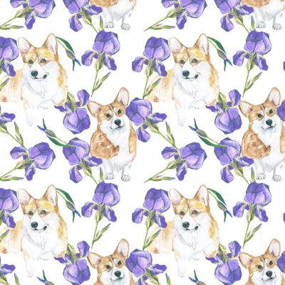 Ирисы и корги