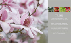 RHS Encyclopedia of plants and flowers