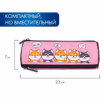 Пенал BRAUBERG 3 отделения нейлон 21х7х7 см "Puppies" (2 штуки в упаковке)