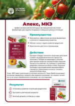 Apeks_litso