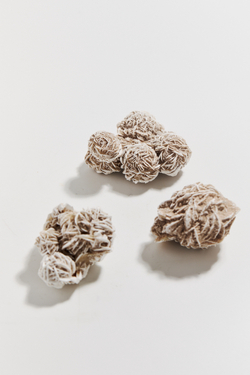 Роза пустыни