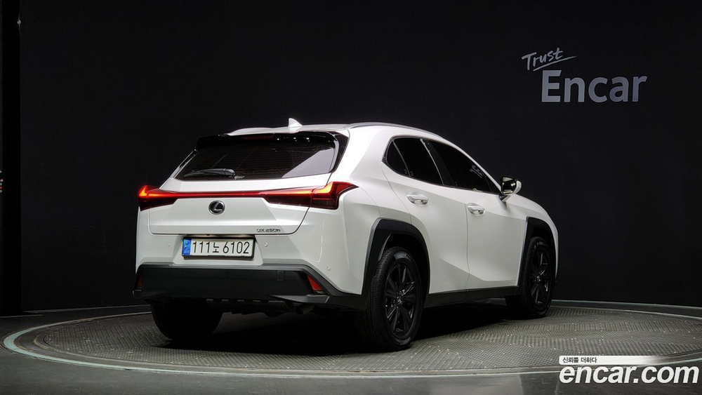 Lexus UX250h 2.0 2WD (02.2023)