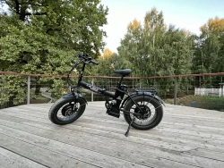 Электрофэтбайк Elbike Taiga 3 Twix (Зеленый)