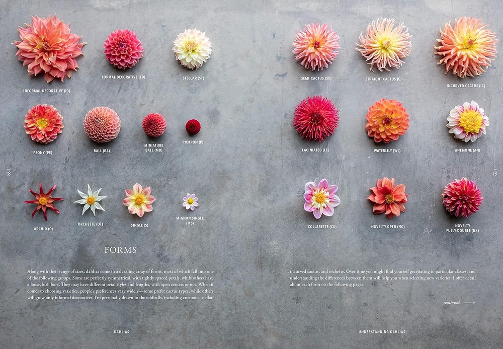 Floret Farm`s. Discovering Dahlias: A Guide to Growing and Arranging Magnificent Blooms