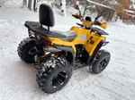 Квадроцикл Dazzle ATV 200 с балансирным валом