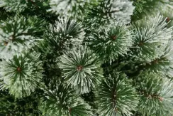 Искусственная сосна Скарлетт с инеем 60 см., Леска, ЕлкиТорг (96060)