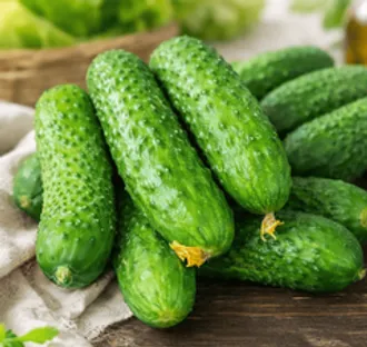 Огурцы колючие БИО / 500 гр