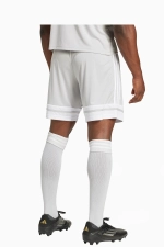 Шорты adidas Squadra 25 - серый
