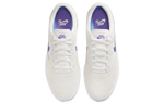 Кроссовки Nike Sb Chron 2