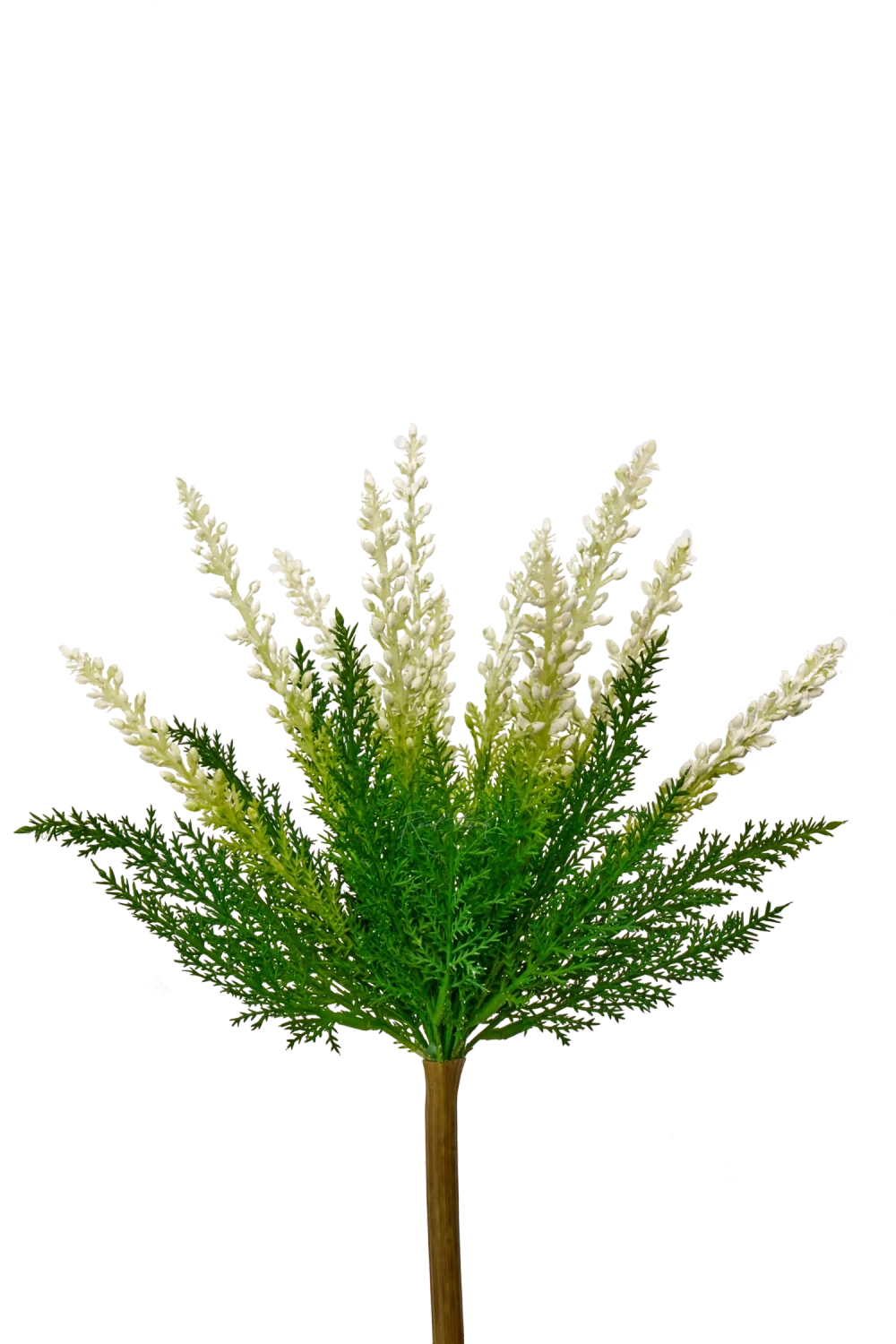 Вереск обыкновенный