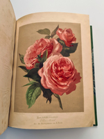 "Nestel`s Rosengarten. [  Сад роз Нестела]". E. Schweizerbartsche Verlagshandlung. 1869г.