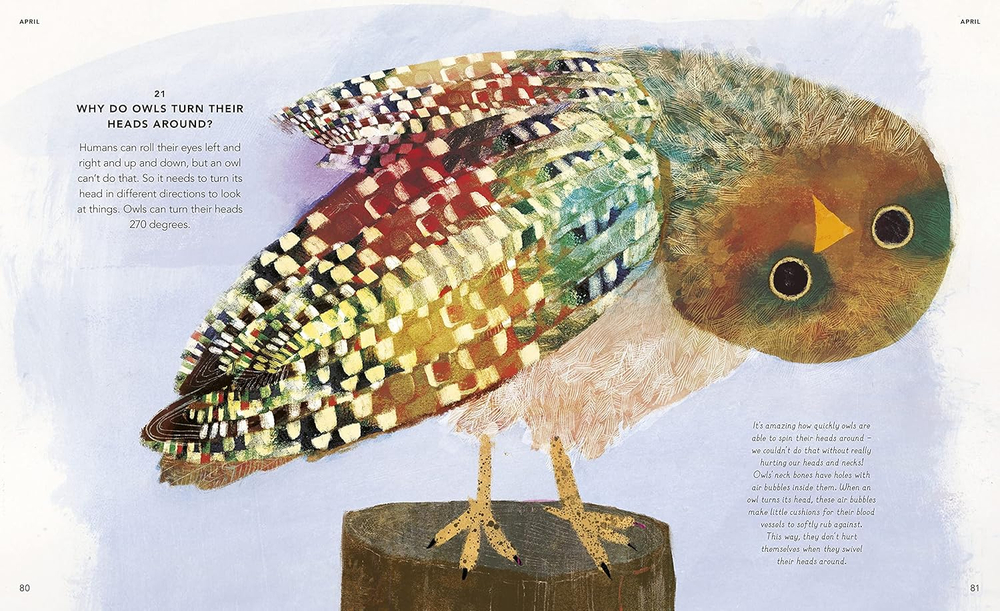 Everything Under the Sun: a curious question for every day of the year Hardcover