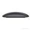 Мышь Apple Magic Mouse (Серый космос)