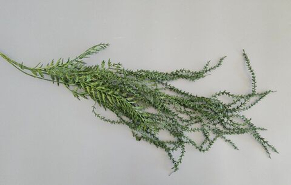 Ампельная ветка цветная / Арт 4248