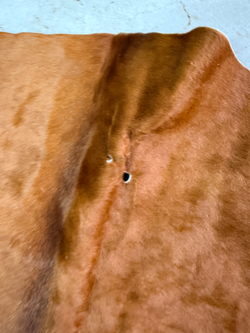 Коровья шкура на пол натуральная. 200 х 190 см