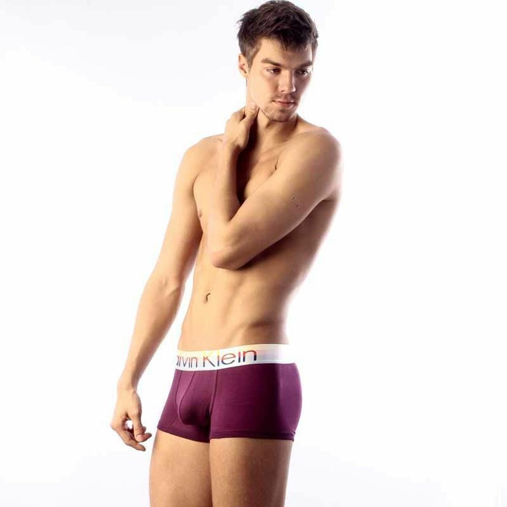 Мужские трусы хипсы Calvin Klein Steel Multicolor Purple