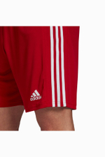 Шорты adidas Squadra 21
