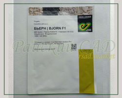 Огурец партенокарпический Бьерн F1 (Enza Zaden / Энза Заден) 5шт.