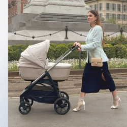 Коляска Inglesina Aptica Darwin i-Size System Quattro 4 в 1 2025 Pashmina Beige