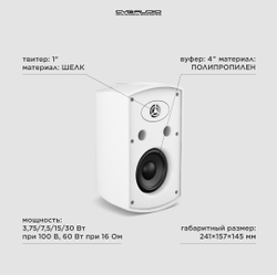 CVGAUDIO RF416TW Двухполосная настенная акустическая система