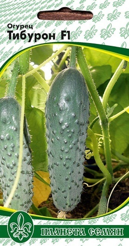 Огурец Тибурон F1